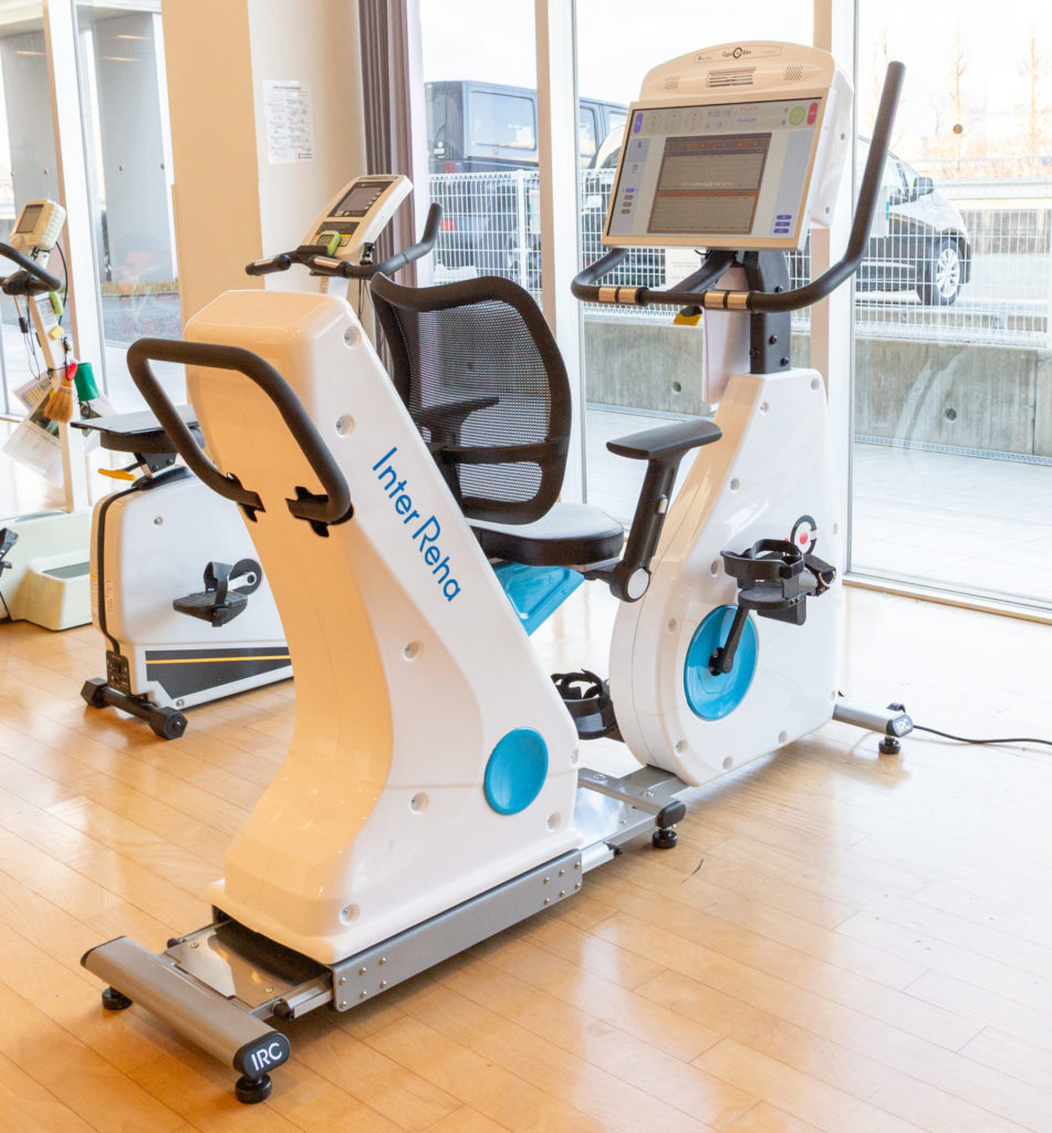 コグニバイク全体