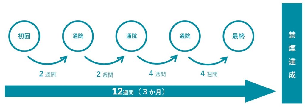 禁煙外来治療スケジュール